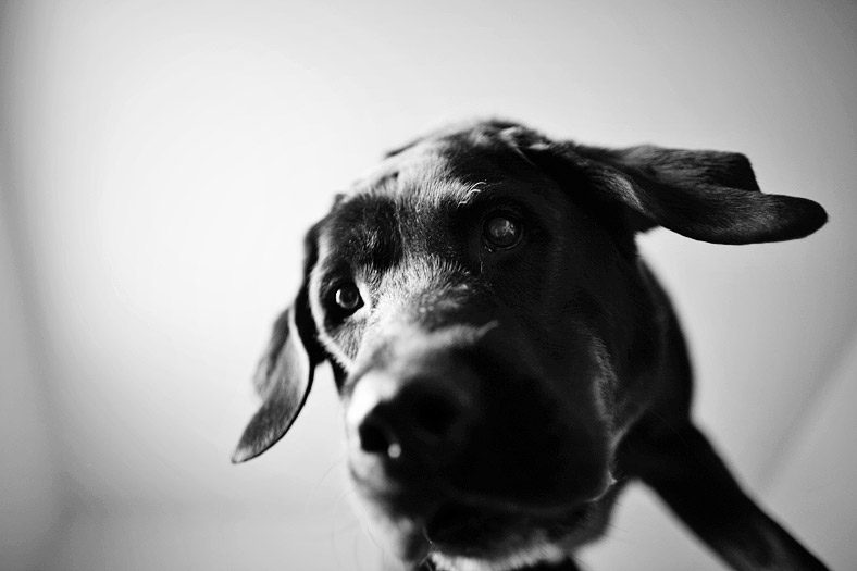 img_9125 img_9125